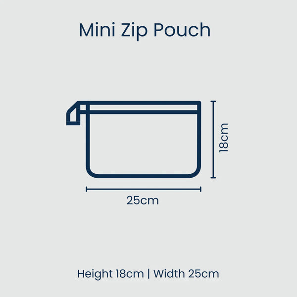 Mini Zip Pouch- Multi Stripe