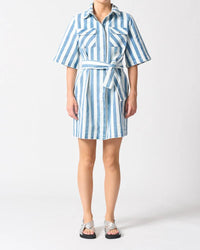 Mayfair Dress - Denim Stripe