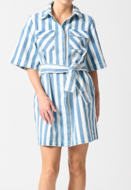Mayfair Dress - Denim Stripe