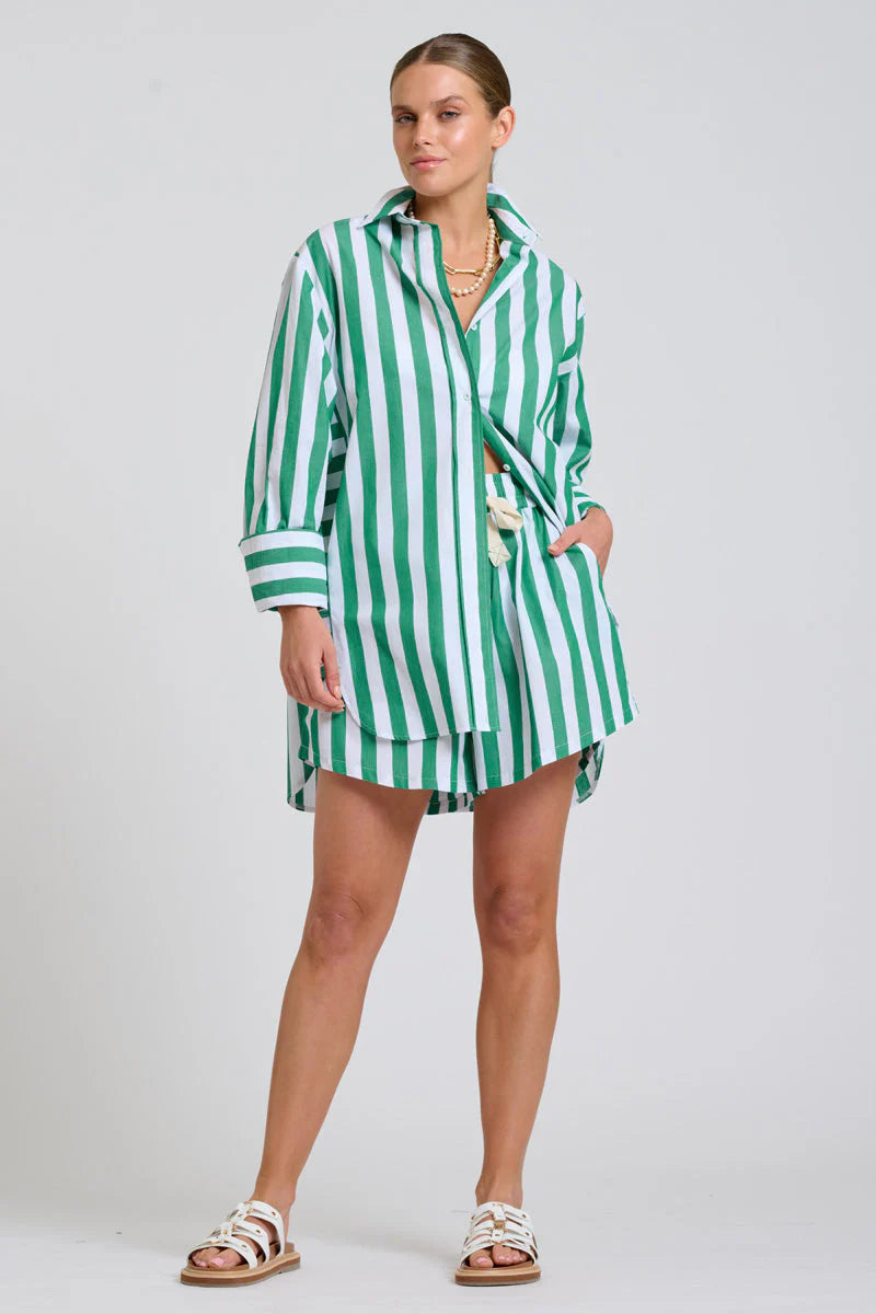 The Andrea Shirt- Green Wide Stripe