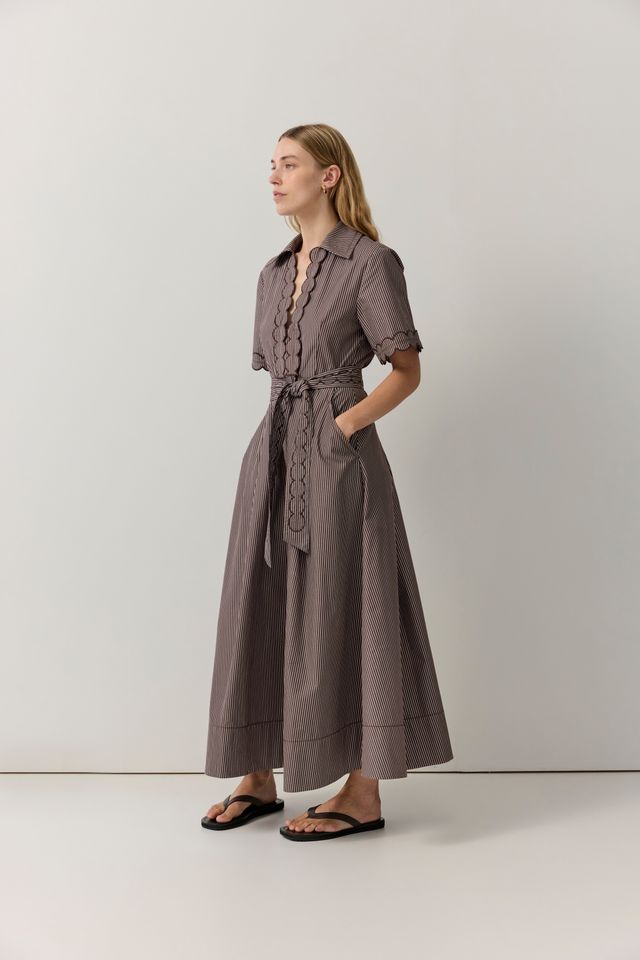 Poplin Stripe Scallop Trim Shirt Dress - Chocolate