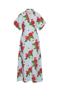 Jasmine Dress Sky Garden