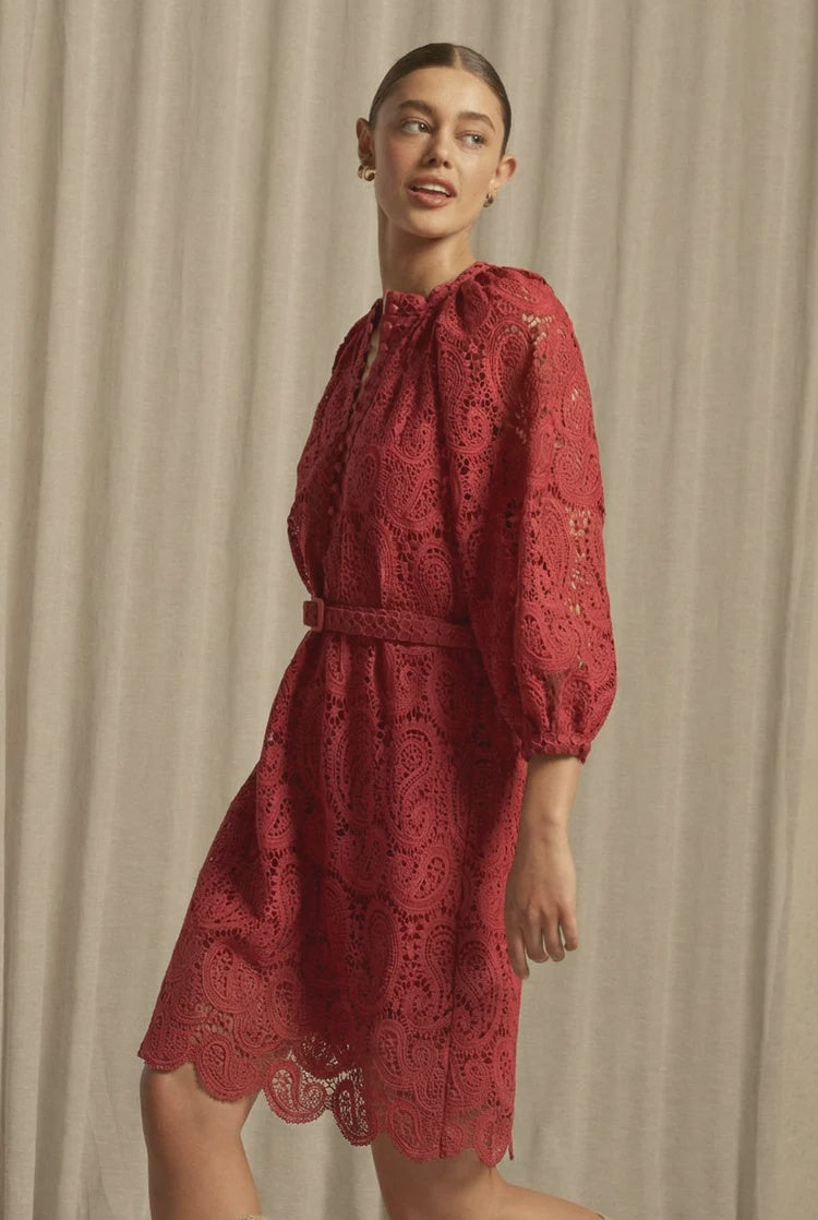 Wisp Dress- Raspberry