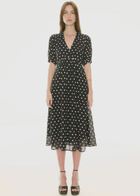 Clove Embroidered Dress- Black Pebble Spot