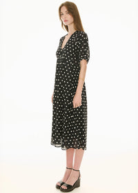 Clove Embroidered Dress- Black Pebble Spot