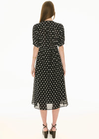 Clove Embroidered Dress- Black Pebble Spot