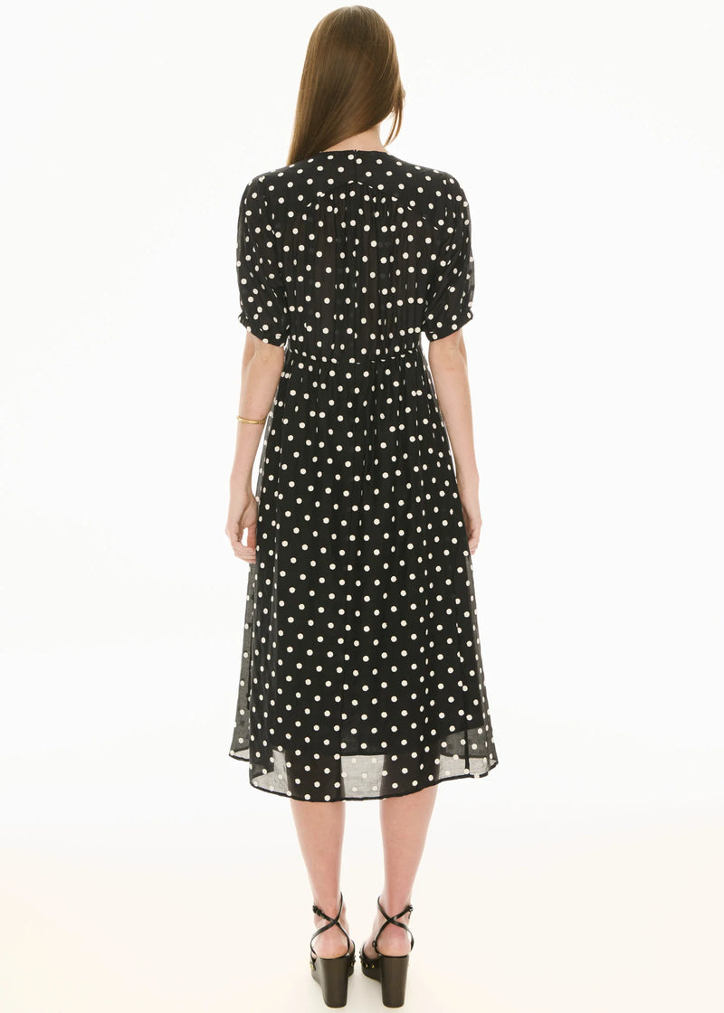 Clove Embroidered Dress- Black Pebble Spot