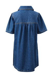 Sienna Denim Dress Fresh Indigo
