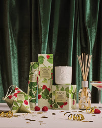 Christmas Replacement Stems - Raspberry and Rhubarb