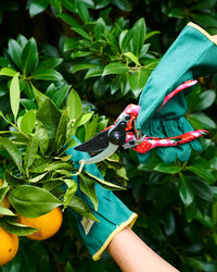 Strawberry Jam Garden Secateurs & Gloves Set