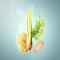 Spring Stream - Embracing Lemongrass Shower Steamer 10pk